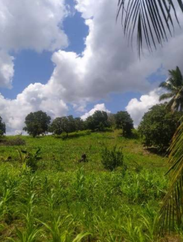 Kondisi Sekitar Mata Air