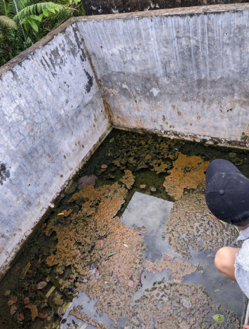 Dokumentasi KKN-TI Universitas Gadjah Mada di Desa Tanjung Selor Hilir Tahun 2024