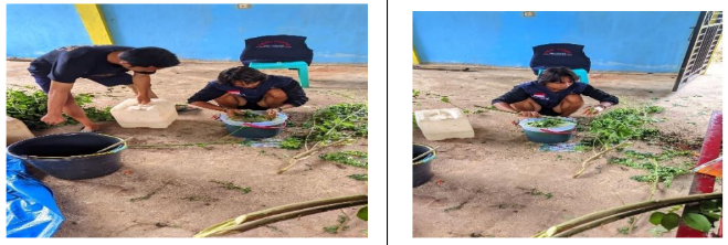 Proses Pembuatan Pupuk Cair (Biosaka)