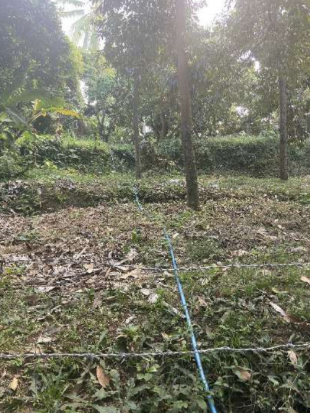 Jaringan Pipa Warga Desa Tajun yang Memiliki Lahan Perkebunan di Desa Sembiran