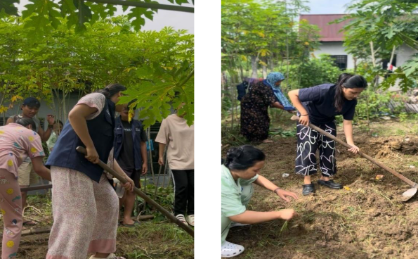 Pembuatan Agro Bedeng Project